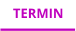 TERMIN